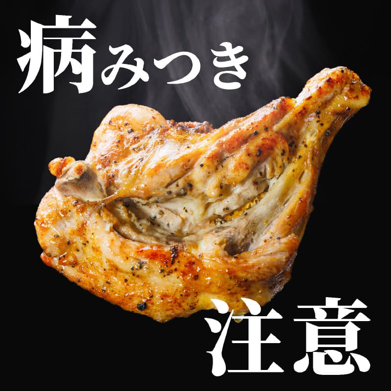 骨付鳥 若鶏 3本 5本 10本 鶏肉 鳥 チキン もも 肉 鶏もも肉 食べ物 食品 冷蔵 骨付き 焼き鳥 骨付き肉 精肉 惣菜 ご飯 おかず おつまみ 加工品 簡単調理 ローストチキン 贈り物 ギフト プレゼント 父の日 送料無料 香川県 丸亀市
