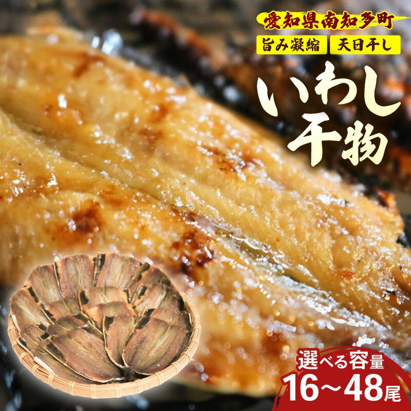  路 ʪ ٤ 16 / 48 ¢  ѥå ʬ    亮 Ϥ  ñ Ĵ ʪ ...