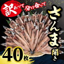 訳あって さんま開き 40枚 分け合って 開き 秋刀魚 訳あって さんま開き 国産 北海道 産 小分け 冷凍 干物 魚 海鮮 魚介 大容量 保存食 人気 グルメ お取り寄せ 贈り物 訳あり