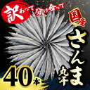 さんま サンマ 秋刀魚 40尾 訳あって さんま丸干 40本 分け合って 訳あり さんま 丸干し 冷凍 さんま 無添加 国産 北海道産 さんま 国内加工 海の幸 海鮮 干物 冷凍 新鮮 贈り物 人気 お取り寄せ おすそ分け グルメ おつまみ