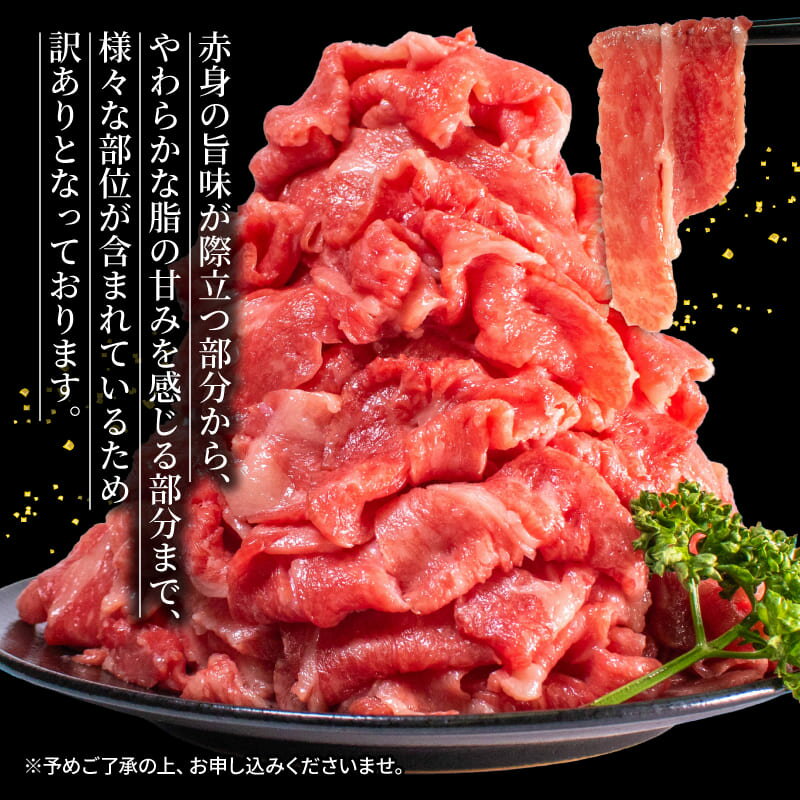 サンプル画像2