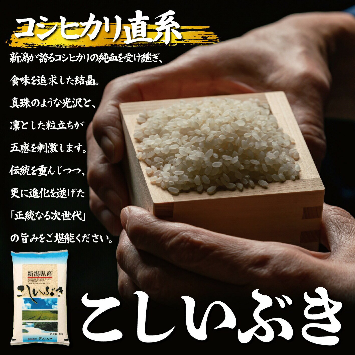 こしいぶき 5kg 10kg 20kg コシヒカリ の遺伝子を引き継ぐ 令和7年産 こしひかり ...