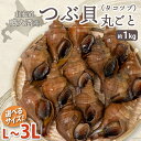 活き つぶ貝 殻付き L / 2L / 3Lサイズ 1kg 大きさ選べる 北海道 噴火湾産 タコツブ ( アツエゾボラ ) 丸ごと 冷蔵で お届け