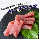 【送料無料】 キハダマグロブロック 1kg【お届け時間帯不可】 鮪 冷凍 新鮮 ごちそう 刺身 漬け丼 鮮度抜群 お買い物マラソン 父の日 プレゼント お中元 お歳暮 正月 産地直送 お取り寄せ
