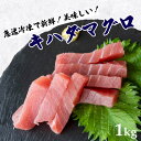 【送料無料】 キハダマグロブロック　1kg【お届け時間...