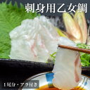 【送料無料】 乙女鯛(おとめだい)1尾分 お刺身用柵 アラ付き タイ 冷蔵 高知 新鮮 ごちそう 高級 小島水産 漬け丼 カルパッチョ お買い物マラソン 父の日 プレゼント お中元 お歳暮 正月 産地直送 お取り寄せ