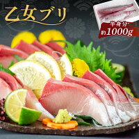 【 送料無料 】 乙女ブリ ブリ 半身分 刺身 用 柵 約 1000g 鰤 1kg 高知県産 ぬた ...