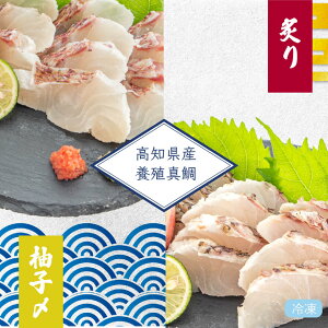 【送料無料】 高知県産真鯛のゆず締め・炙りセット 1尾分 タイ 新鮮 ごちそう 高級 刺身 さしみ 冷凍 みなみ丸 お買い物マラソン 父の日 プレゼント お中元 お歳暮 正月 産地直送 お取り寄せ