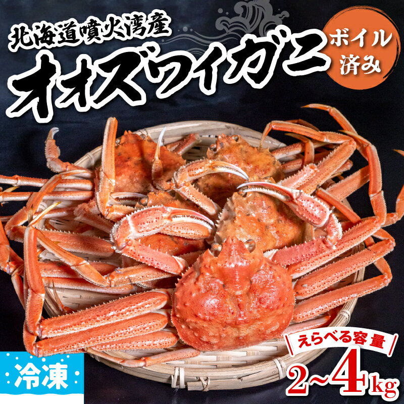 浜茹で オオズワイガニ 北海道 噴火湾産 無選別品 ボイル 済み 冷凍配送 2〜4kg 冷凍ズワイ 2kg 4kg カニ 蟹 大ズワイガニ