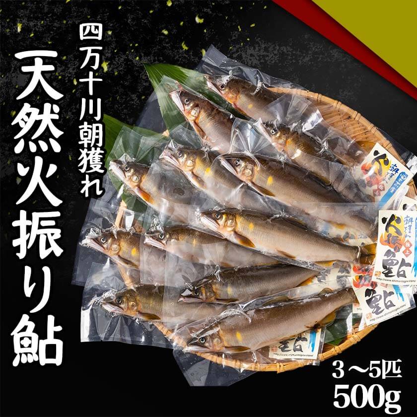 【送料無料】 四万十川 朝獲れ 天然火振り鮎 500g 塩焼き 炭火焼き 甘露煮 高級 新鮮 高知 産地直送 川魚 お買い物マラソン 父の日 プレゼント お中元 お歳暮 正月 産地直送 お取り寄せ