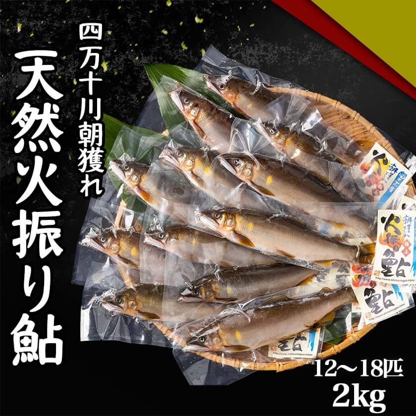 【送料無料】 四万十川 朝獲れ 天然火振り鮎 2kg 塩焼き 炭火焼き 甘露煮 高級 新鮮 高知 産地直送 川魚 お買い物マラソン 父の日 プレゼント お中元 お歳暮 正月 産地直送 お取り寄せ