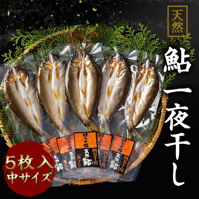 【送料無料】 天然鮎 一夜干し　中サイズ・5枚入 塩焼き 炭火焼き 高級 新鮮 高知 産地直送 川魚 お買い物マラソン 父の日 プレゼント お中元 お歳暮 正月 産地直送 お取り寄せ