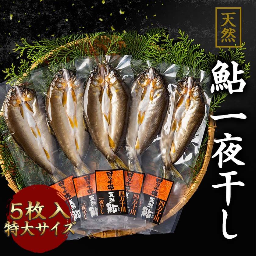 【送料無料】 天然鮎 一夜干し　特大サイズ・5枚入 塩焼き 炭火焼き 高級 新鮮 高知 産地直送 川魚 お買い物マラソン 父の日 プレゼント お中元 お歳暮 正月 産地直送 お取り寄せ