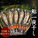 商品情報内容量80g前後10枚※目安であり量を保証するものではございません。原材料天然鮎消費期限発送日から半年商品の特徴薄塩仕立ての天日干し鱗の除去未処理アレルギー表示なし販売事業者四万十郷