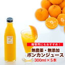 【送料無料】 無添加有機ポンカンジュース300ml瓶×5本 果汁100% みかん いよかん 有機JAS 無農薬 防腐剤不使用 お買い物マラソン 父の日 プレゼント お中元 お歳暮 正月 産地直送 お取り寄せ