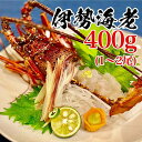 【送料無料】 職人吉岡の冷凍伊勢海老 1~2尾 400g 刺身 おせち 鍋 国産 伊勢エビ イセエビ 高知県【産地直送】 お買い物マラソン 父の日 プレゼント ...