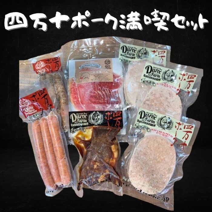 【送料無料】高知県産 四万十 国産 バーベキュー パーティー チャーシューブロック 粗挽きソーセージ ハンバーグ 生ハム 豚肉