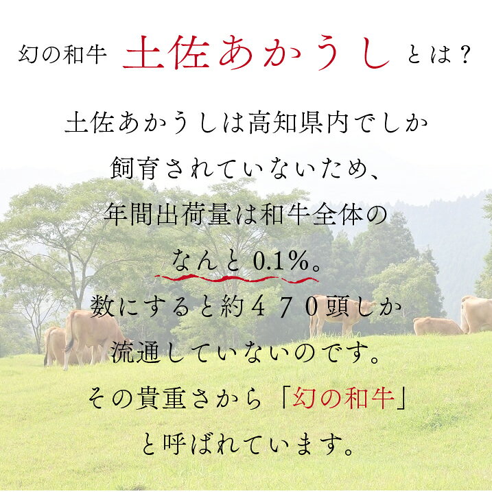 こうちBOX 楽天市場店の【高知県産】 「土佐あかうしコロッケ 5個」｜アングル2