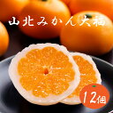 【送料無料】【高知県産】「 山北みかん大福(12個入)」