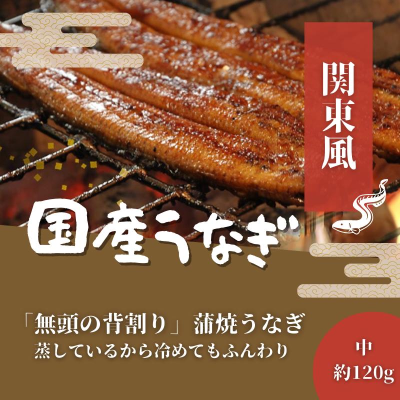 【送料無料】【高知県産】 「蒲焼うなぎ(中)(約120g)」 うなぎ 国産 蒲焼き 背開き 関東風 丑の日