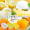 【送料込み】お中元 早割 アイスクリーム さっぱりシャーベット6個セット 【冷凍】【同梱可】【送料無料】2025 食品 プチギフト アイス 詰め合わせ 内祝い ...