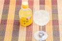 希釈ゆずドリンク200ml／高知アイス