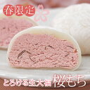 春限定 桜 スイーツ 和菓子 ひな祭り ホワイトデー【とろける生大福<桜もち>10個入<自家用>】桜餅 桜の香りがふわ〜っと広がります 大福 スイーツ さくら SAKURA お花見 母の日 サクラ咲く 和菓子 ご褒美 自宅用 数量限定 春のご贈答 数量限定 入学 進学 内祝 満開
