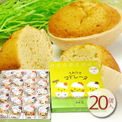 【うみたてマドレーヌ　20個入】ちょっとした手土産に可愛い卵形の焼き菓子を 贈り物 ギフト 内祝 お返し 出産内祝い 入学 入園 卒園 卒業 イースター 子供の日 敬老の日 ハロウィン 御歳暮 帰省 バレンタイン ホワイトデー 母の日 父の日