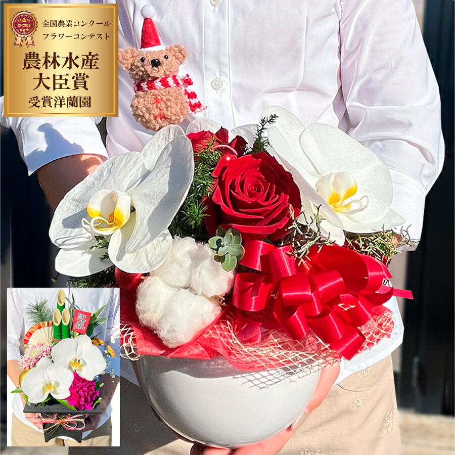 胡蝶蘭季節のアレンジ Xmasアレンジ らんや 黒臼洋蘭園 生花 贈り物 フラワーギフト クリスマス プレゼント 母の日 お祝い 新築お祝い 結婚お祝い 出産お祝いバレンタイン ホワイトデー 卒業 入学祝い 長寿のお祝い 敬老の日