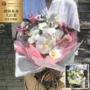 胡蝶蘭花束 らんや 黒臼洋蘭園 胡蝶蘭 こちょうらん お祝い お誕生日 出産祝い 結婚祝い 敬老の日 母の日 引っ越し祝い 卒業祝い 入学祝い 長寿のお祝い バレンタイン ホワイトデー 生花 贈り物 フラワーギフト プレゼント 父の日