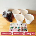 植替えセット プラ鉢4個 黒臼洋蘭園 コチョウラン 植替え 水苔 プラスチック鉢 植替え手順