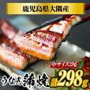 うなぎ蒲焼 149g×2尾 鹿児島県大隅産 敬老の日 うなぎ 国産 鰻 うなぎ 鹿児島産 ギフト プレゼント 国産うなぎ蒲焼 ウナギ 冷凍鰻 うなぎ蒲焼 贈答用...