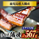 うなぎ蒲焼 189g×3尾 鹿児島県大隅産 敬老の日 うなぎ 国産 鰻 うなぎ 鹿児島産 ギフト プレゼント 国産うなぎ蒲焼 ウナギ 冷凍鰻 うなぎ蒲焼 贈答用...