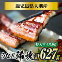 うなぎ蒲焼 209g×3尾 鹿児島県大隅産 敬老の日 うなぎ 国産 鰻 うなぎ 鹿児島産 ギフト プレゼント 国産うなぎ蒲焼 ウナギ 冷凍鰻 うなぎ蒲焼 贈答用...