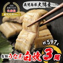 うなぎ白焼 199g×3尾 鹿児島県大隅産 敬老の日 うなぎ 国産 鰻 うなぎ 鹿児島産 ギフト プレゼント 国産うなぎ白焼 ウナギ 冷凍鰻 うなぎ白焼 贈答用 内祝い 出産祝い 誕生日祝い お礼 肉厚 お取り寄せ 真空