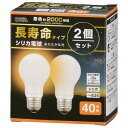オーム(OHM) 電機 長寿命白熱電球 E26 40W形 調光機能対応 フィ ラメント エジソン電球 シリカ 2個セット LB-DL5638W-2PN 06-4...