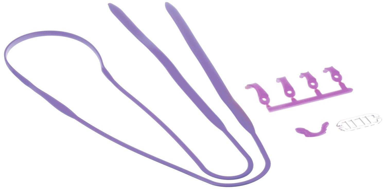 SWANS(スワンズ) 日本製 スイミングゴーグル 度付レンズ用 パーツセット PS-SR2 パープル(PUR)