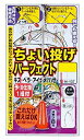 がまかつ(Gamakatsu) チョイ投げパーフェクト仕掛 N137 6号-ハリス1. 45581-6-1-07