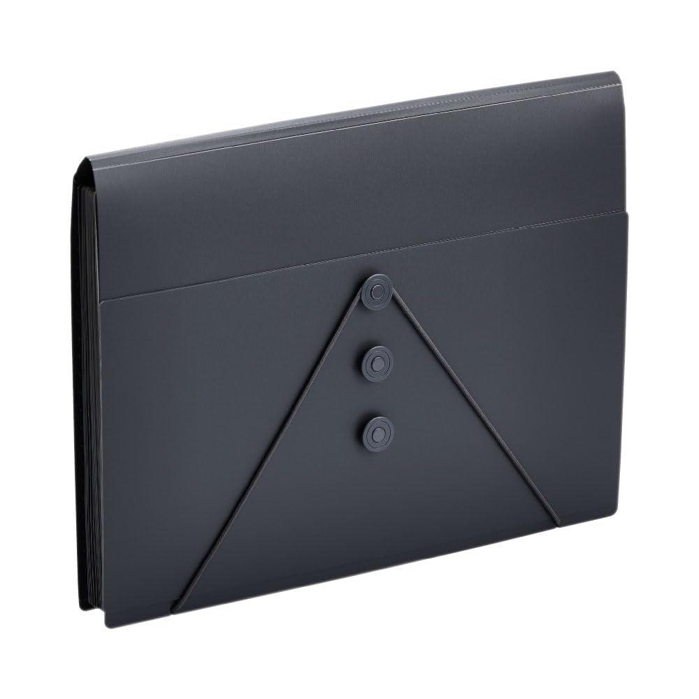 キングジム ドキュメントファイル サクッと整理ドキュメントファイル フタ付 A4 黒 2290-BK