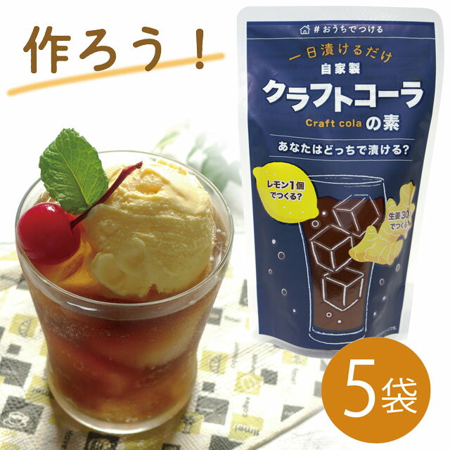 【送料込】こだま食品 【香料不使用】自分で作る クラフトコーラの素5袋セット レモンや生姜で漬ける