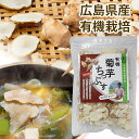 【有機・広島県世羅町産】菊芋チップス オーガニック 乾燥 ノンフライ たっぷり50g入(4)