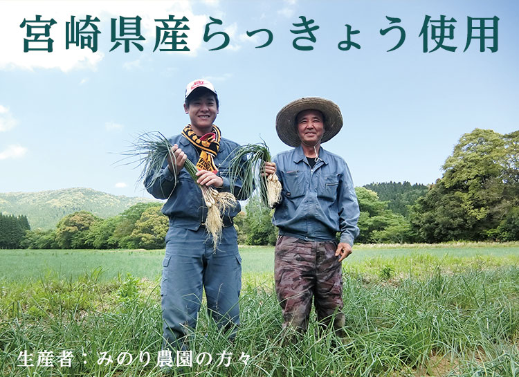 【ネコポス可能】宮崎県産らっきょうの黒酢漬け　200g×2袋セット（合計400g）国産　らっきょう漬け kodama831-10000412 こだまいきいき農場 サンプル画像3