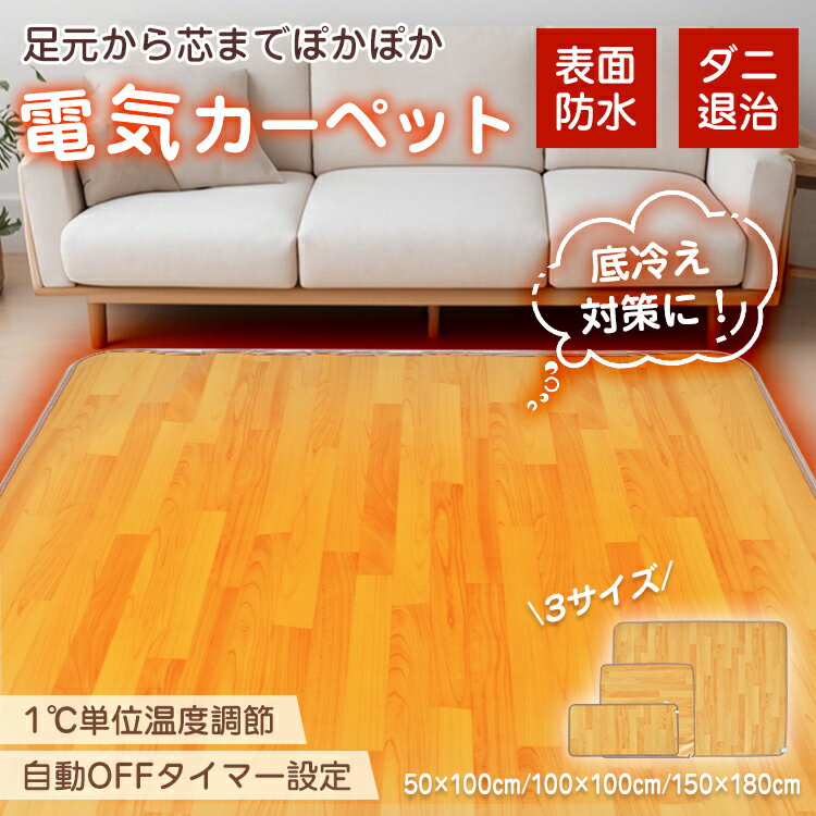 【送料無料・代引不可】電気カーペット PSE ホットカーペット 電気マット ホットマット カーペット マット ラグ 暖房足温器 電気ホットマット 電気座布団 フットウォーマー