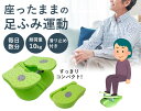 バランスワン フットレスト ステッパータイプ足置き