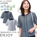 【PT2倍&最大600円クーポン配布中 10/17 10時迄】 19号 オーバーブラウス 涼しい 事務服 春夏 ESA890 レディース 半袖 オフィスウェア ENJOY