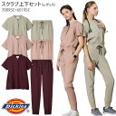 y5/9 20`PT2{ő600~N[|zzz fBbL[Y XNu ㉺Zbg   WK[pc 7089SC 6019SC fB[X uh i[XEFA Dickies FOLK(tH[N)