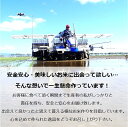 あきたこまち 白米30kg（5kg×6袋）【農家直送】秋田県大潟村産 2023年産 特別栽培米 あきたこまち 脱酸素袋《送料無料》 2