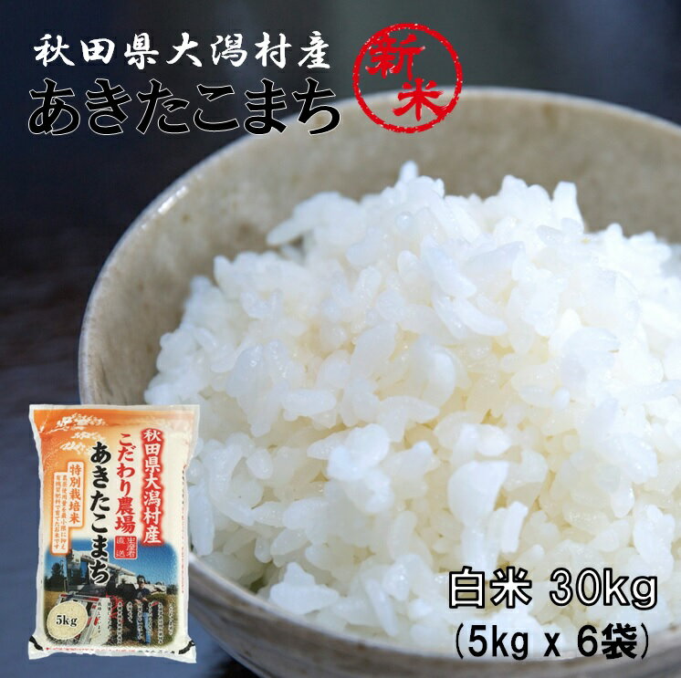 あきたこまち 白米30kg（5kg×6袋）秋田県大潟村産 2023年産 特別栽培米 あきたこまち 脱酸素袋《送料無料》
