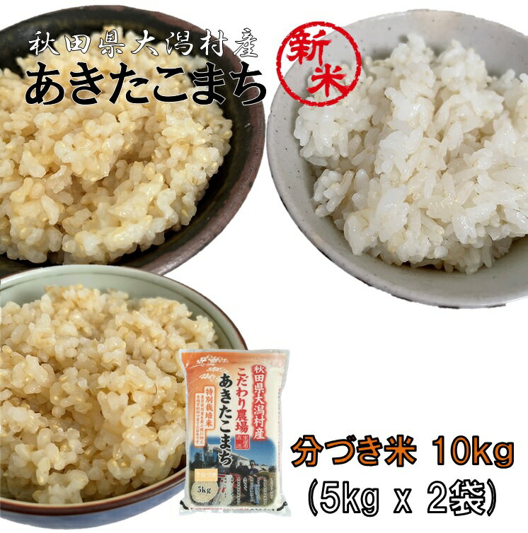 あきたこまち 分づき米10kg（5kg×2袋）《分づきレベル (3分・5分・7分) 選択してください》秋田県大潟村産 2023年産 特別栽培米 あきたこまち 脱酸素袋 健康志向の方に《送料無料》