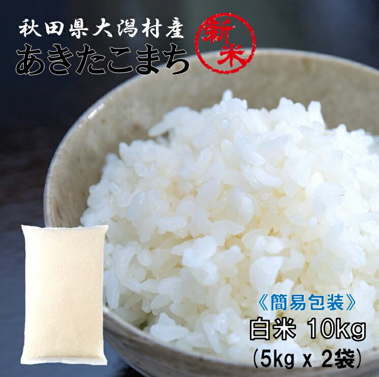 あきたこまち白米10kg（5kg×2袋） 秋田県大潟村産 2023年産 特別栽培米 あきたこまち 簡易袋 《送料無料》